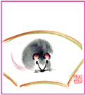 第58号を見る