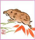 第56号を見る